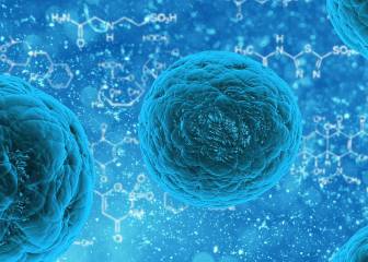 Regreso al futuro: lecciones aprendidas de la pandemia de influenza de 1918