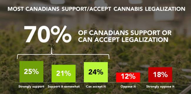 legalización, cannabis, marihuana, canadá, uruguay