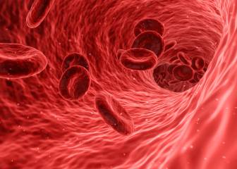 Una pulsera inteligente detecta la fibrilación auricular en tiempo real y previene el ictus