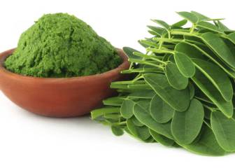 Moringa o árbol de la vida, una semilla considerada casi mágica