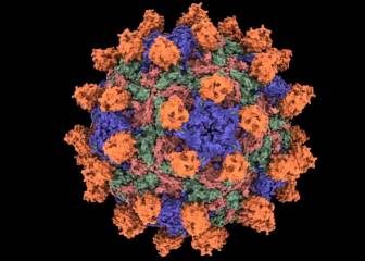 La viroterapia da otro paso más en la lucha contra el cáncer