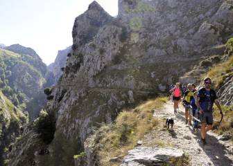 Los médicos escoceses recetan ‘Naturaleza’ a muchos pacientes