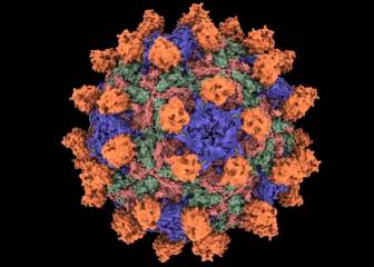 La viroterapia da otro paso más en la lucha contra el cáncer