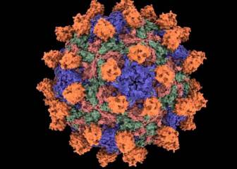 La viroterapia da otro paso más en la lucha contra el cáncer