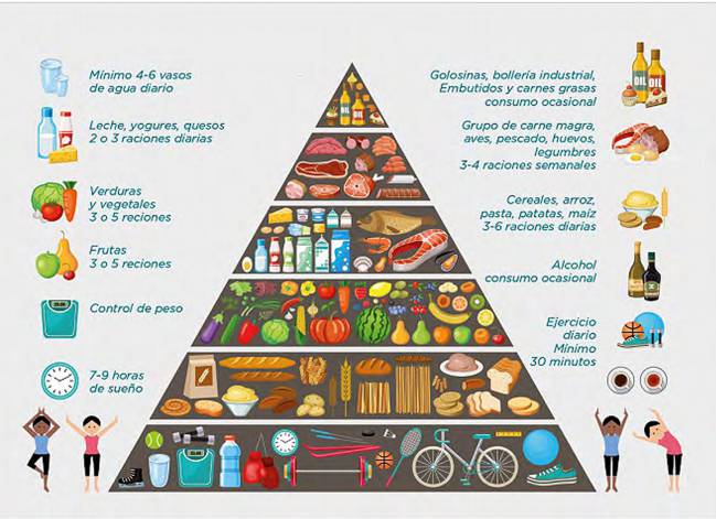 piramide nutricional