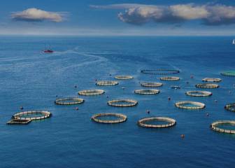 nutricion sostenible