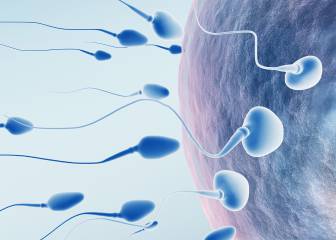 3 alimentos provocan mayor tasa de infertilidad en los hombres