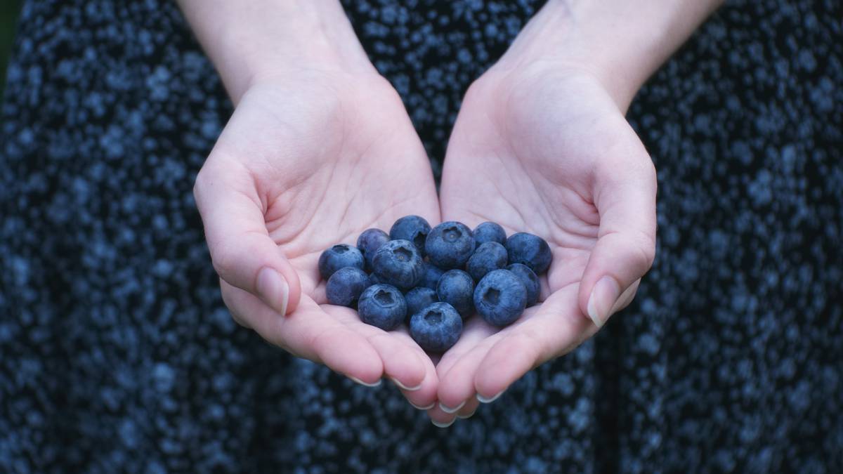 Estos Son Los 5 Alimentos Que Una Experta De Harvard Quiere Que Tomes Casi A Diario 4462