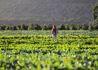 agricultura con inteligencia artificial