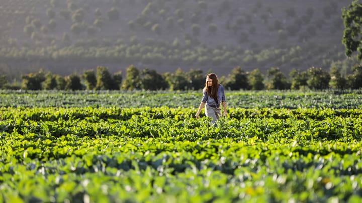 agricultura con inteligencia artificial