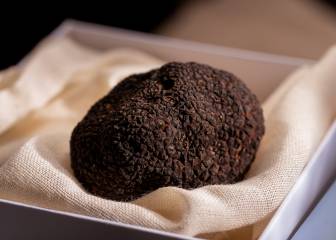 trufa negra