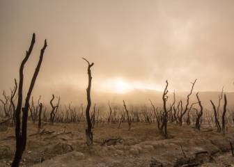 Obesidad, desnutrición y cambio climático: tres factores y una misma amenaza