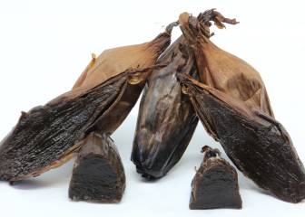 Cebolla negra: por qué debes plantearte incorporarla a tu dieta