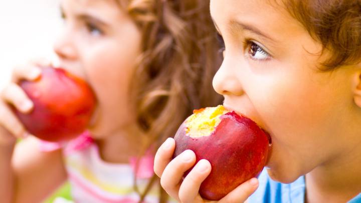 5 raciones fruta y verdura