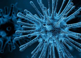 VIH, sida, enfermedades, cura, células madre, salud