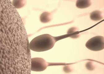 infertilidad masculina