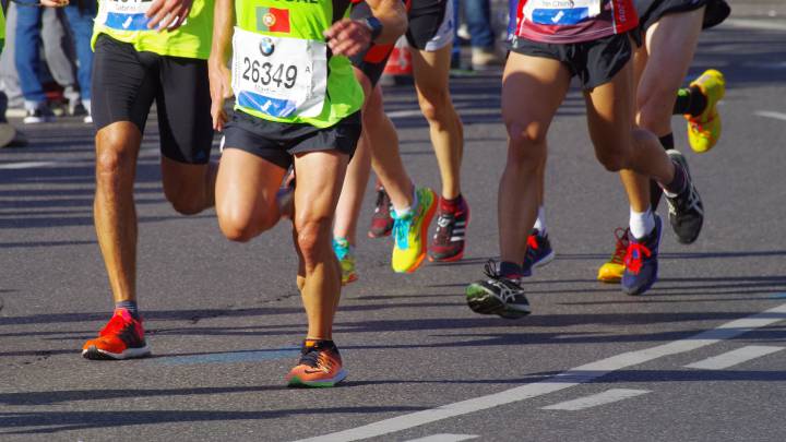 maratón, salud, sistema cardiovascular, vasos sanhuíneos, aorta, ejercicio físico