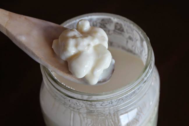 La importancia de las cepas y fermentos de los yogures en la salud