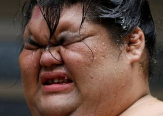 sumo, japón, yokozuna, dieta, entrenamiento