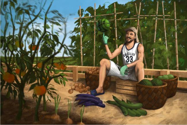 gasol, agricultura ecológica, nutrición, salud, nba