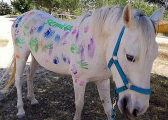 Beneficios de la hipoterapia, educación y ocio con caballos para personas con discapacidad