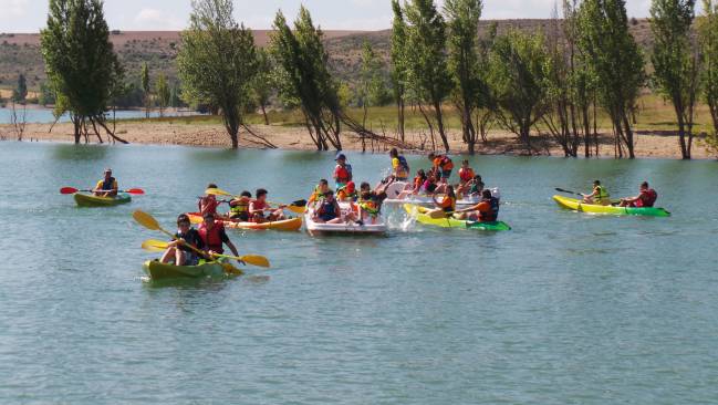 alergias campamentos verano