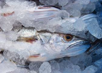 salud, nutrición, pescado, pescadería, pescado fresco, consejos