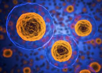 cáncer, quimioterapia, tratamiento, salud, proteína, 5-fu