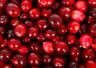 cistitis, infecciones, salud, mujeres, bacterias, dieta, prevención