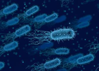 Listeriosis: qué es, dónde se encuentra y cuáles son los síntomas