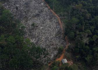 Amazonas: la deforestación y el fuego ponen en peligro el 'pulmón del planeta'