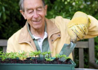 Jardinería: el hobby más beneficioso para la salud de los mayores