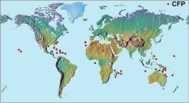 ciguatera, intoxicación alimentaria