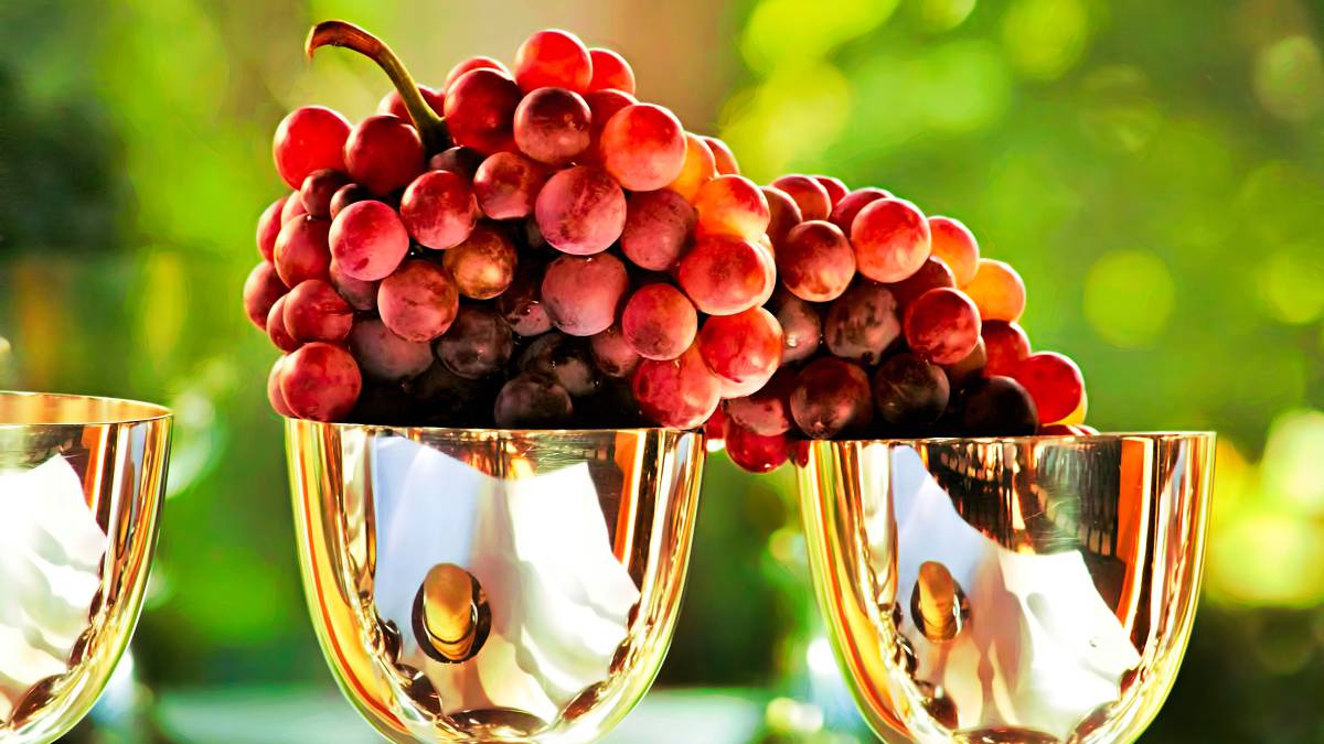 Calificación compañero invierno Por qué se toman 12 uvas en Nochevieja? Origen, significado y cuál es la  leyenda del ritual de Año Nuevo - AS.com