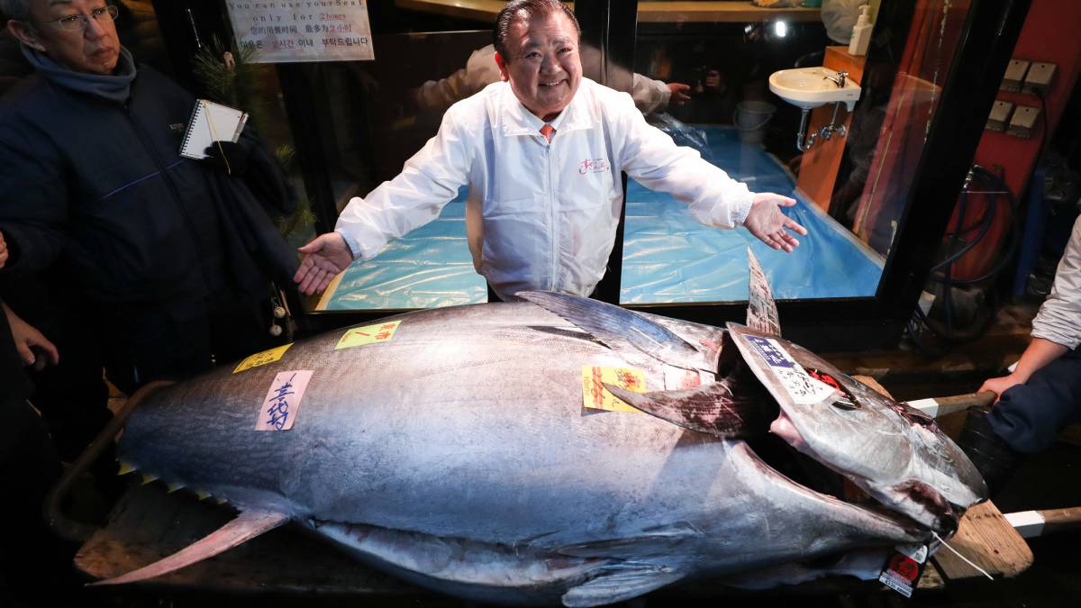 Un atún rojo se vende en Japón por 1,5 millones de euros (y no es el