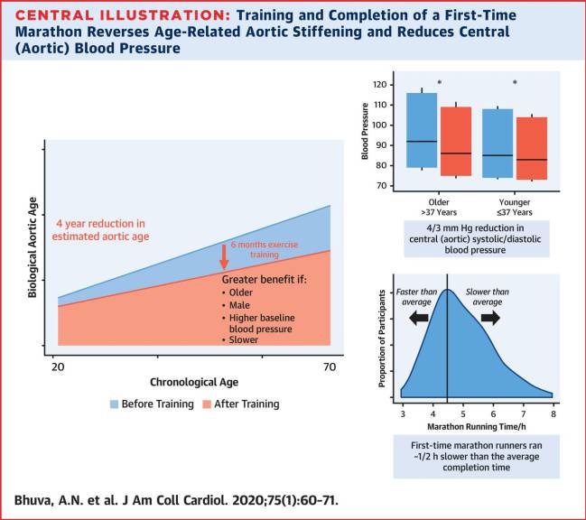 maratón, beneficios, salud, hipertensión arterial, edad vascular, ejercicio físico