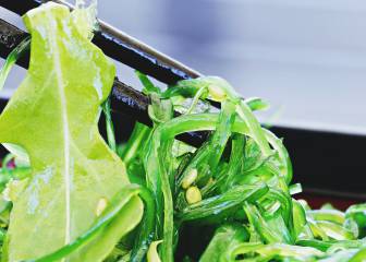 Un tipo de alga mejora la salud intestinal y síntomas como diarrea, gases o hinchazón