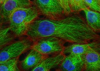 cáncer, investigación, genoma, adn, genética, salud, tratamiento, diagnóstico