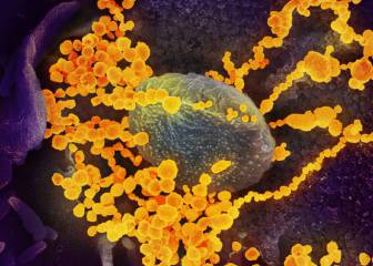 Coronavirus: Madrid confirma su primer caso y ya hay 7 contagios