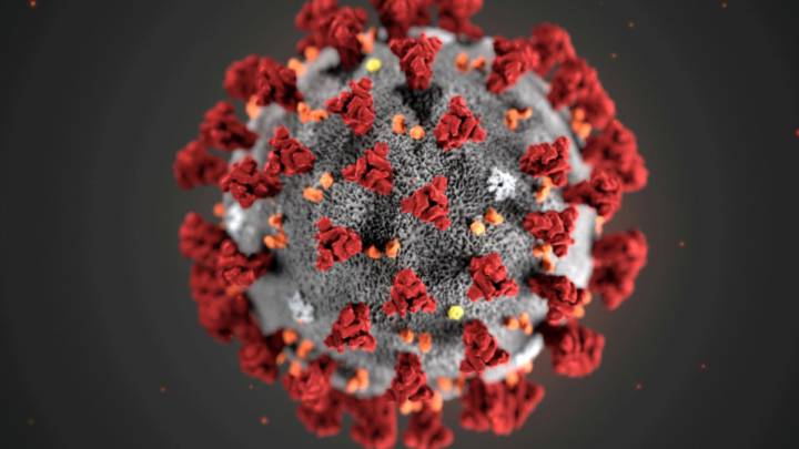 Coronavirus: qué es, síntomas, contagio y prevención