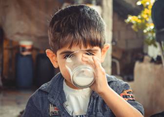 Los productos lácteos bajos en grasa no son necesariamente mejores para los niños