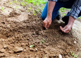 cerebro, envejecimiento, salud, ejercicio físico, actividad física, adultos mayores