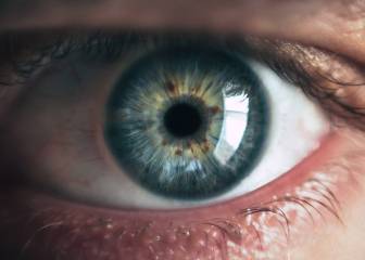 Cómo predecir el desarrollo del glaucoma en un 80% de los casos