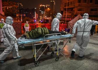 Qué son las Arcas de Noé en China que se pueden trasladar a España