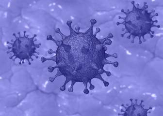 La melatonina puede ayudar a frenar infecciones por el coronavirus