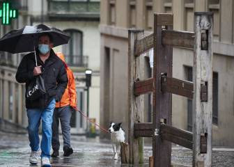 Estrógenos y otras hormonas sexuales: ¿pueden ayudar a los hombres a luchar contra el virus?