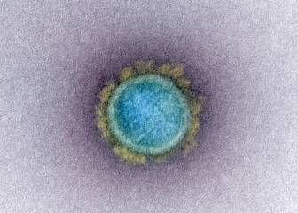 La ciencia española pisa el acelerador para derrotar al enemigo público número uno