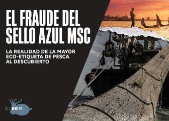 El sello de pesca sostenible 'MSC' es puesto en seria duda