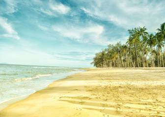 Ni el calor ni la humedad modifican el desarrollo de la pandemia