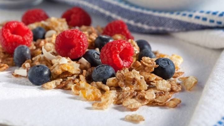 prebioticos y probioticos